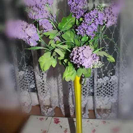 Privat bolig Pati Slonko *